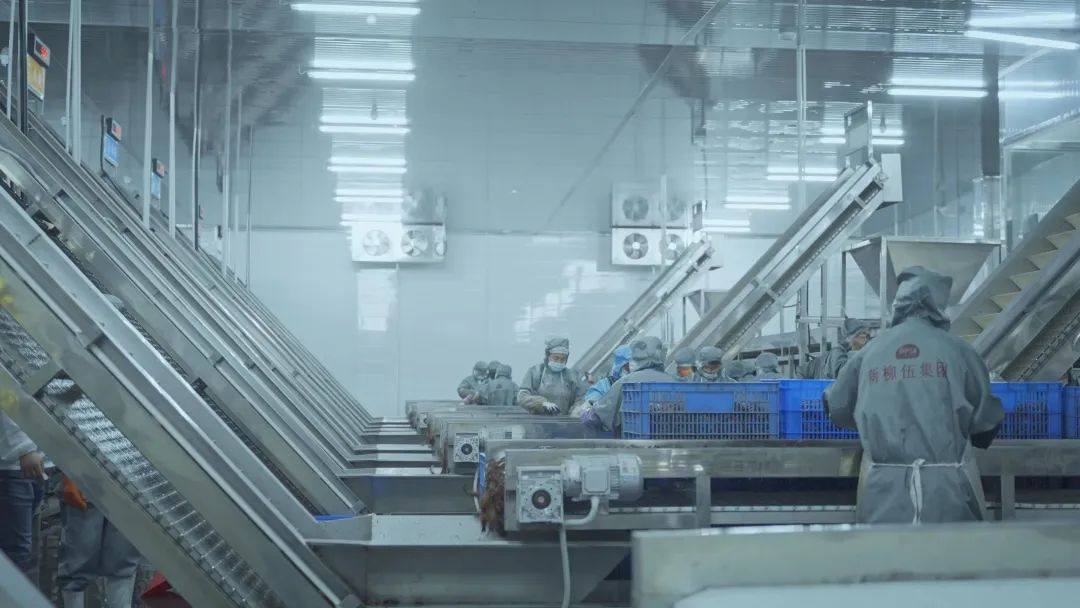 welcometo迎接惠临888集团(中国)有限公司